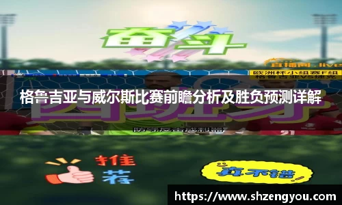 格鲁吉亚与威尔斯比赛前瞻分析及胜负预测详解